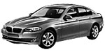 BMW F10 P369D Fault Code